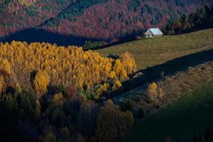 un' affascinante montagna paesaggio nel il bucegi montagne, Carpazi, Romania. autunno natura nel moeciu de su, Transilvania foto