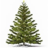 3d Natale albero su isolato bianca sfondo. vacanza, celebrazione, dicembre, allegro Natale foto