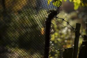 vecchio recinzione. arrugginito acciaio maglia. recinto nel giardino. foto