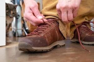 mani siamo legatura il lacci delle scarpe su il scarpe, Il prossimo per un interessato gatto, quale è Guardando il processi. avvicinamento. foto