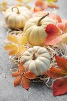 autunno le foglie e zucche al di sopra di grigio calcestruzzo sfondo foto