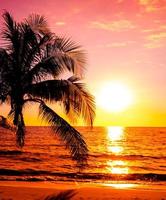 tramonto al di sopra di il mare con palma alberi su il tropicale mare spiaggia sfondo per viaggio nel vacanza rilassare tempo foto