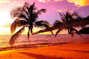 bellissimo tramonto tropicale spiaggia con palma albero e blu cielo per viaggio e vacanza nel vacanza rilassare tempo foto