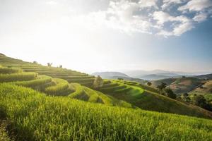 paesaggio di riso terrazza a bandire papà bong piang nel chiang Mai Tailandia foto