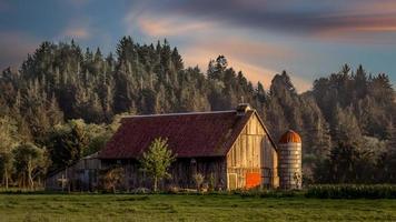 tramonto in fattoria, immagine a colori foto