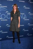 los angeles, ott 30 - Laura dern a il oceana S partner premi gala 2013 a beverly wilshire Hotel su ottobre 30, 2013 nel beverly colline, circa foto