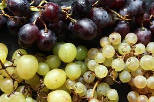 fotografia di tre varietà di uva foto