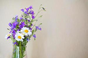 mazzo di fiori selvatici nel un' vaso. un' mazzo di campane e camomilla. viola e bianca fiore. foto