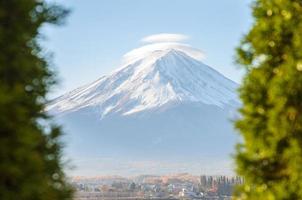 Monte Fuji e albero verde in primo piano a Kawaguchiko in Giappone