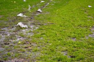 Visualizza di verde ecologicamente pulito verde erba disseminato con spazzatura e plastica plastica borse. il sfondo. struttura. concetto ambientale inquinamento foto