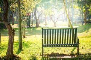 sedia nel pubblico parco con sole leggero foto