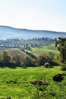 campo di erba verde e alberi durante il giorno foto