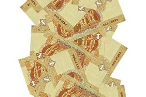 1 egiziano libbra fatture volante giù isolato su bianca. molti banconote caduta con bianca copyspace su sinistra e giusto lato foto