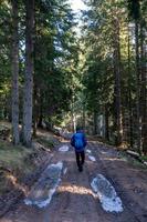 giovane uomo escursioni a piedi nel il foresta foto