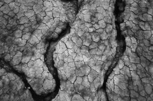 secco Cracked terra suolo terra struttura sfondo. mosaico modello di soleggiato secco terra suolo foto