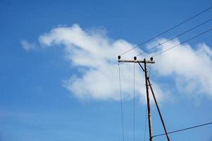 elettrico polo energia Linee estroverso elettrico fili contro su nube blu cielo. foto