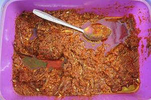 Sambal goreng ikan teri , speziato dolce acciughe. acciuga fritte salsa. foto