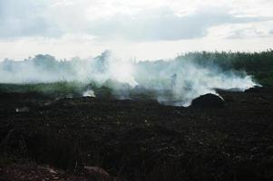 ardente terra per Aperto campi, un' metodo spesso Usato per chiaro terra di Locale agricoltori. foto