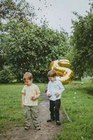 2 ragazzi nel il parco siamo fotografato nel onore di loro compleanno, contro un' sfondo di coriandoli. un' ragazzo è fotografato con il suo fratello e il numero 5 su il suo compleanno. foto