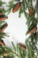 vacanze saluto carta o bandiera composizione con pino albero rami. allegro Natale sfondo e contento nuovo anno 2023. foto