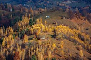 un' affascinante montagna paesaggio nel Carpazi, Romania. autunno natura nel bravo, Europa foto