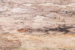 sfondo di pavimento in legno vecchio