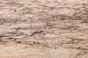 sfondo di pavimento in legno vecchio