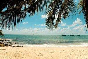 palma tropicale della foglia di cocco sulla spiaggia con la luce del sole sul cielo blu mare e oceano nuvola e fondo della barca turistica - avventura di viaggio del mare e della natura di vacanze estive foto