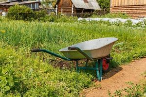 carrello per trasporto carico nel il giardino, attrezzo per giardinaggio e casa agricoltura foto