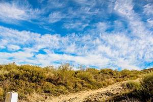 erba secca marrone sotto il cielo parzialmente nuvoloso foto