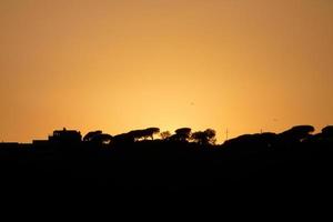 retroilluminato paesaggio nel un' tramonto foto