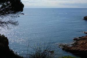 pini, rocce e scogliere su il catalano costa brava nel il mediterraneo mare foto