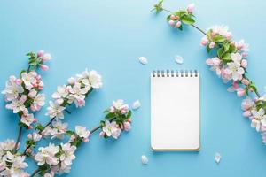 fioritura primavera sakura su un' blu sfondo con bloc notes spazio per un' saluto Messaggio. il concetto di primavera e La madre di giorno. bellissimo delicato rosa ciliegia fiori nel primavera foto