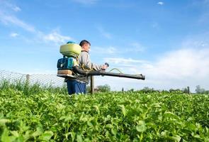 maschio contadino con un' nebbia spruzzatore processi Patata cespugli con sostanze chimiche. protezione di coltivato impianti a partire dal insetti e fungine infezioni. controllo di uso di sostanze chimiche. agricoltura in crescita verdure foto