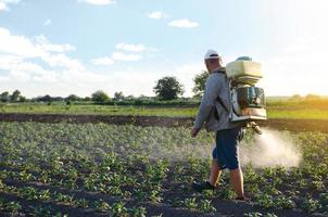 contadino spray un' Patata piantagione con un' spruzzatore. chimico trattamento. nebbia spruzzatore, fungicida e pesticida. efficace Ritaglia protezione di coltivato impianti contro insetti e fungine. Lavorando su campo foto