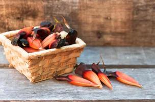 frutta di il araucaria foto