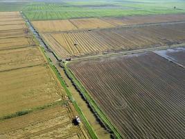 aereo fuco Visualizza di macchine trattori raccolta vasto riso campi. industriale agricoltura. tagus estuario naturale Riserva nel Lisbona, Portogallo. nativo riso di Portogallo. fiume, acqua, zone umide. foto