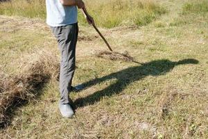 uomo raccoglie secco fieno con un' rastrello, nel il villaggio, su un' estate giorno. rurale stile di vita. foto