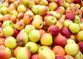 frutta negozio. salutare Alimenti. mele su il contatore. vendita di mele. vitamina contenente prodotti foto