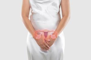 illustrazione di il utero è su il donna di corpo foto