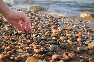 mano prende uno piccolo pietra tra il molti dire bugie su il sabbioso banca di il fiume, contro il sfondo di acqua su un' primavera. foto