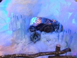festivo design scena un' giocattolo orso dorme nel un' innevato tana, un' decorato albero dietro a lui. ghiaccioli decorare il Ingresso di il tana. foto