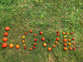 un' parola a partire dal un' pomodoro, lettere io, oh, v, e. il parola amore. lettere a partire dal rosso e giallo pomodori su verde erba. crudo cibo, vegetarianismo, gustoso e salutare merenda, vitamina insalata foto