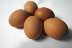 uova isolate su sfondo bianco foto