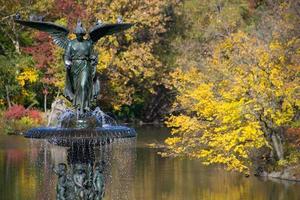 New York City, 2020 - Terrazza e Fontana di Bethesda foto