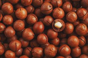 biologico macadamia Noce fresco naturale frutta sgusciate uno Noce nel pieno telaio avvicinamento Visualizza. Basso contrasto foto