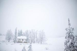 inverno su il montagna foto