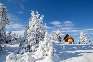 inverno su il montagna foto