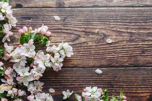 sakura fioritura su un' buio rustico di legno sfondo. primavera sfondo con fioritura albicocca rami e ciliegia rami foto