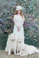 testa Rossa bellissimo giovane ragazza nel lungo bianca vestito con tre Samoyeds all'aperto foto